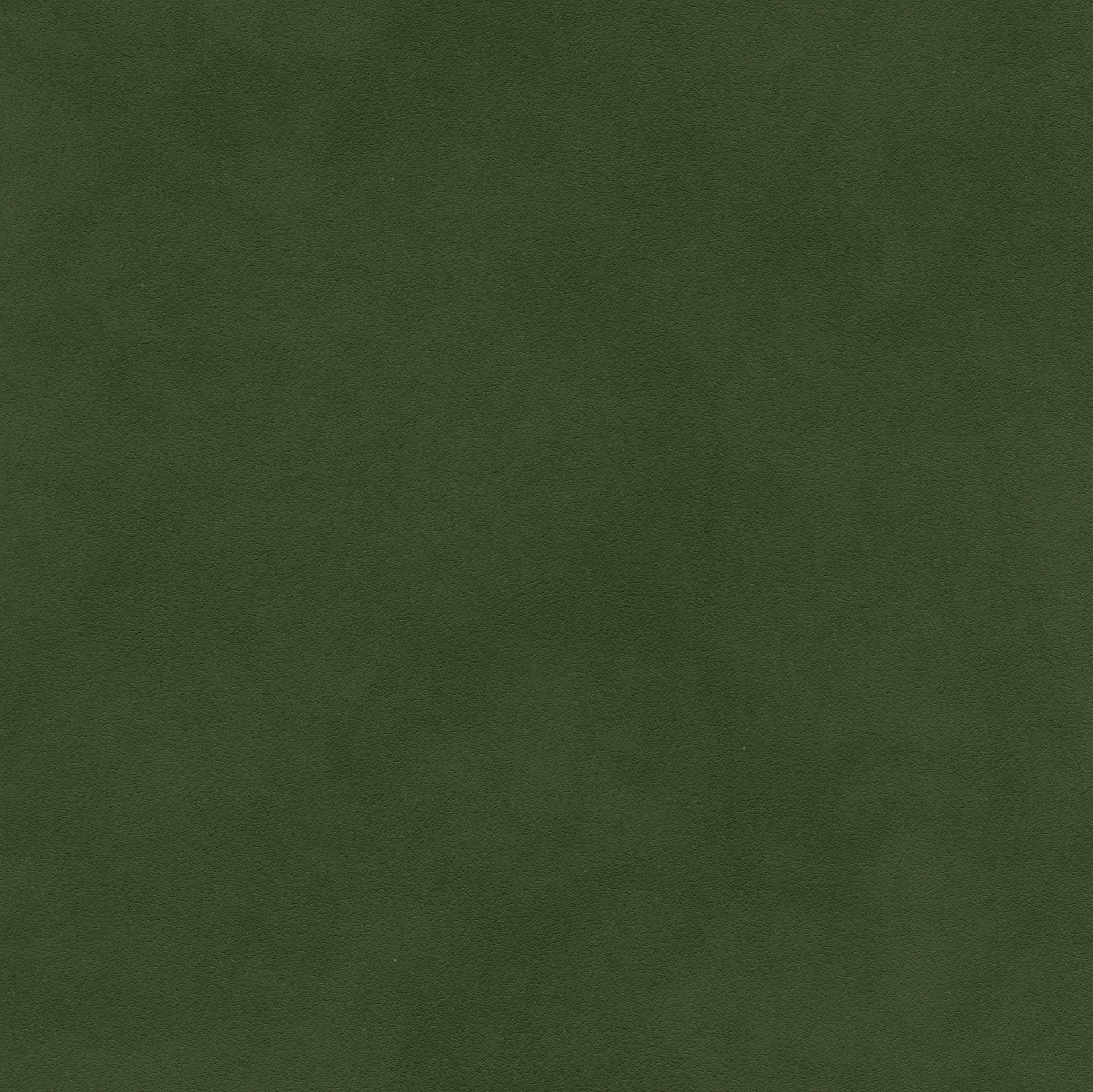 Loden Green 01